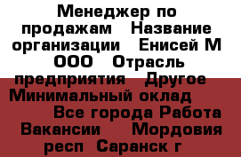 Менеджер по продажам › Название организации ­ Енисей-М, ООО › Отрасль предприятия ­ Другое › Минимальный оклад ­ 100 000 - Все города Работа » Вакансии   . Мордовия респ.,Саранск г.